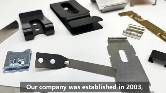 Metal Stamping Part Stainless Steel Hose Clamp Hose Clip Hose Clamps